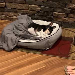 Meet your Posher, Deborah